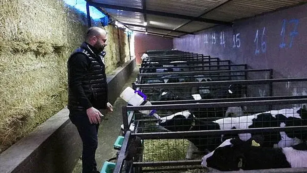 Devlet desteğiyle kurduğu çiftlikte aylık 70 ton süt üretiyor