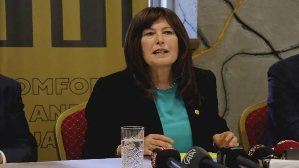 İYİ Parti Genel Başkan Yardımcısı Sunat'tan cumhurbaşkanı adayı açıklaması: