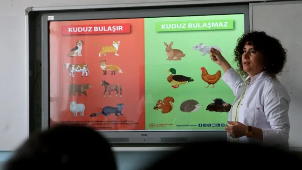 Kuduz tehlikesinden uzaklaştıracak altın kurallar