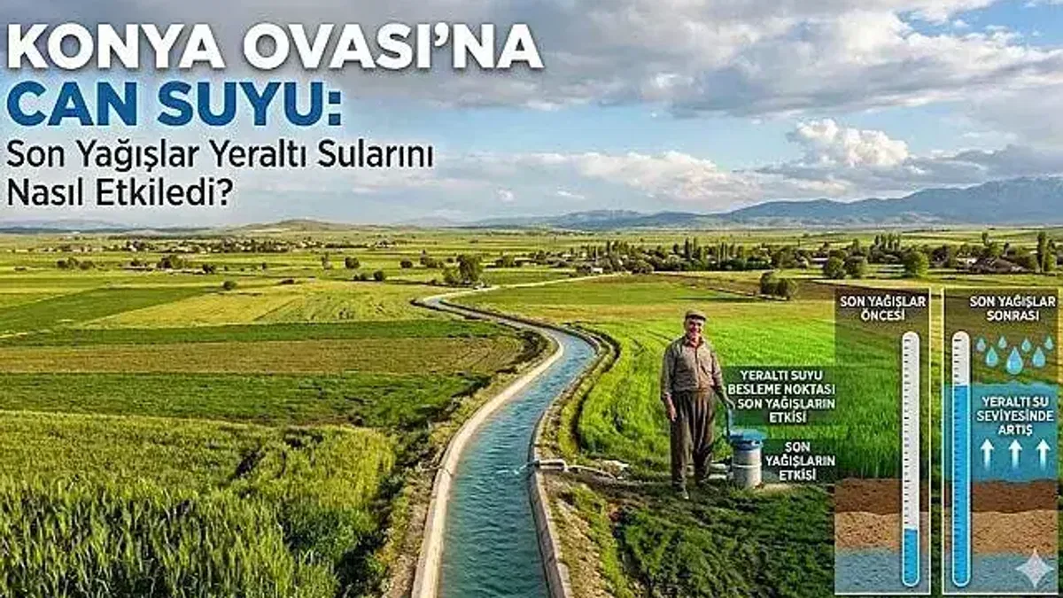 Konya Ovası'na Can Suyu: Son Yağışlar Yeraltı Sularını Nasıl Etkiledi?