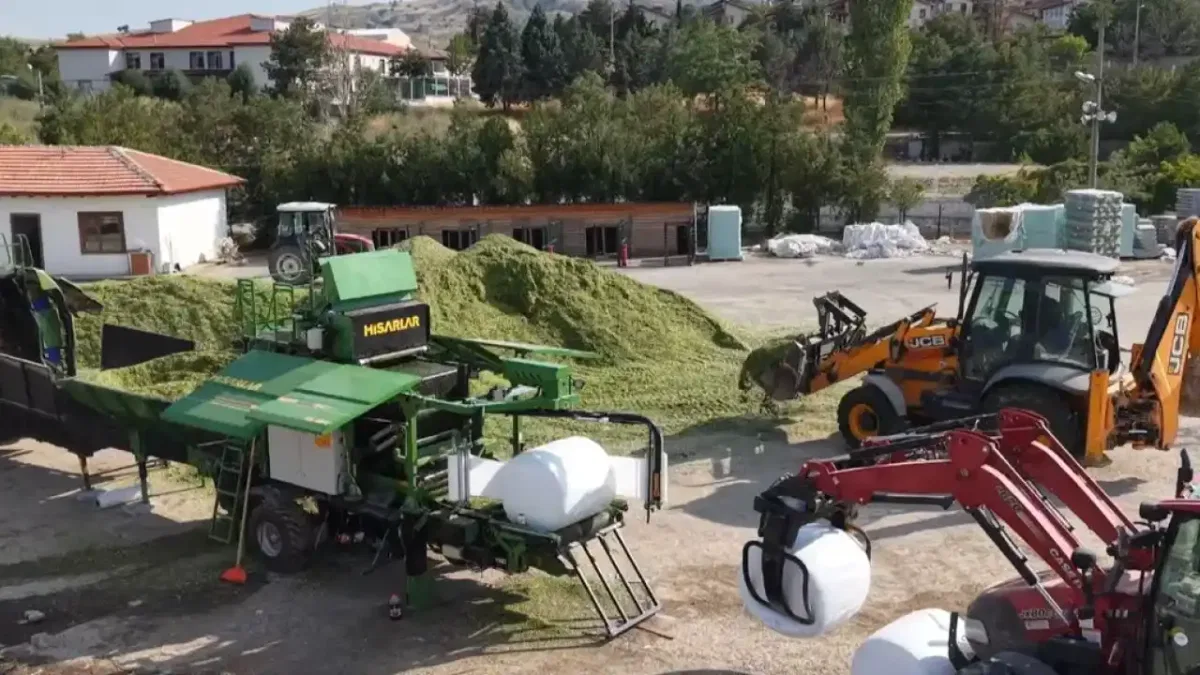 Ankara'da hayvan yetiştiricilerine silaj desteği