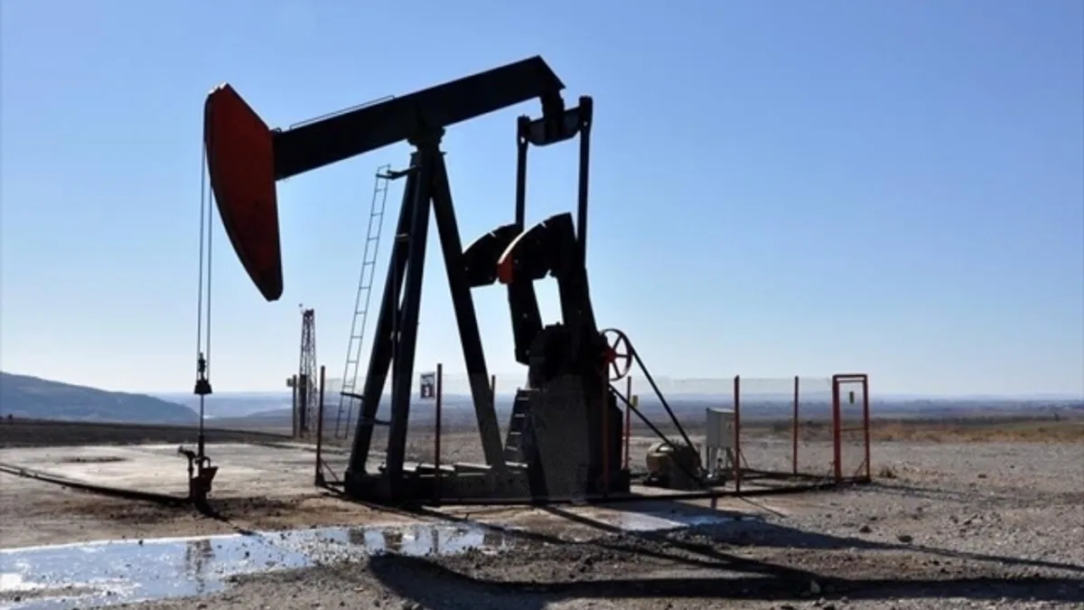 TPAO, bu yıl 15 milyon varilin üzerinde petrol üretmeyi hedefliyor