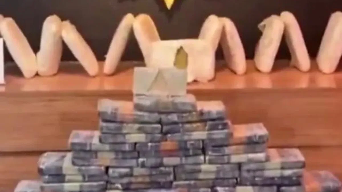 Van ve Şanlıurfa’da zehir tacirlerine operasyon! 311,5 kg uyuşturucu ele geçirildi