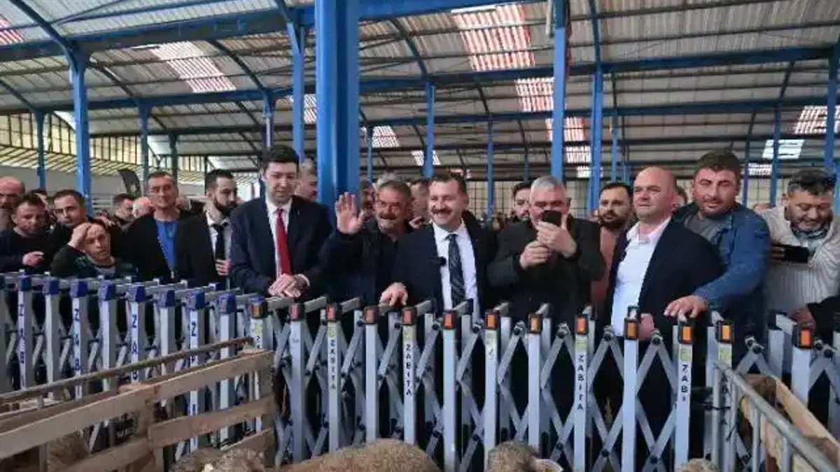 Hayvancılığa büyük destek
