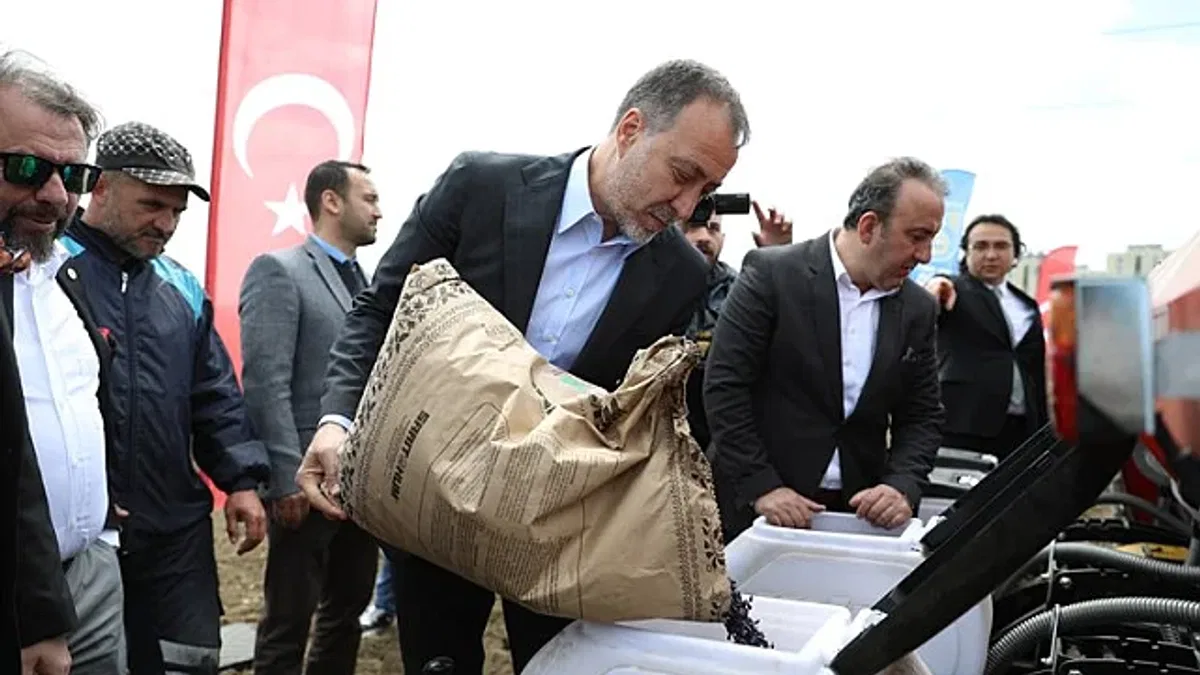 Milli ayçiçekleri Silivri'ye ekiliyor