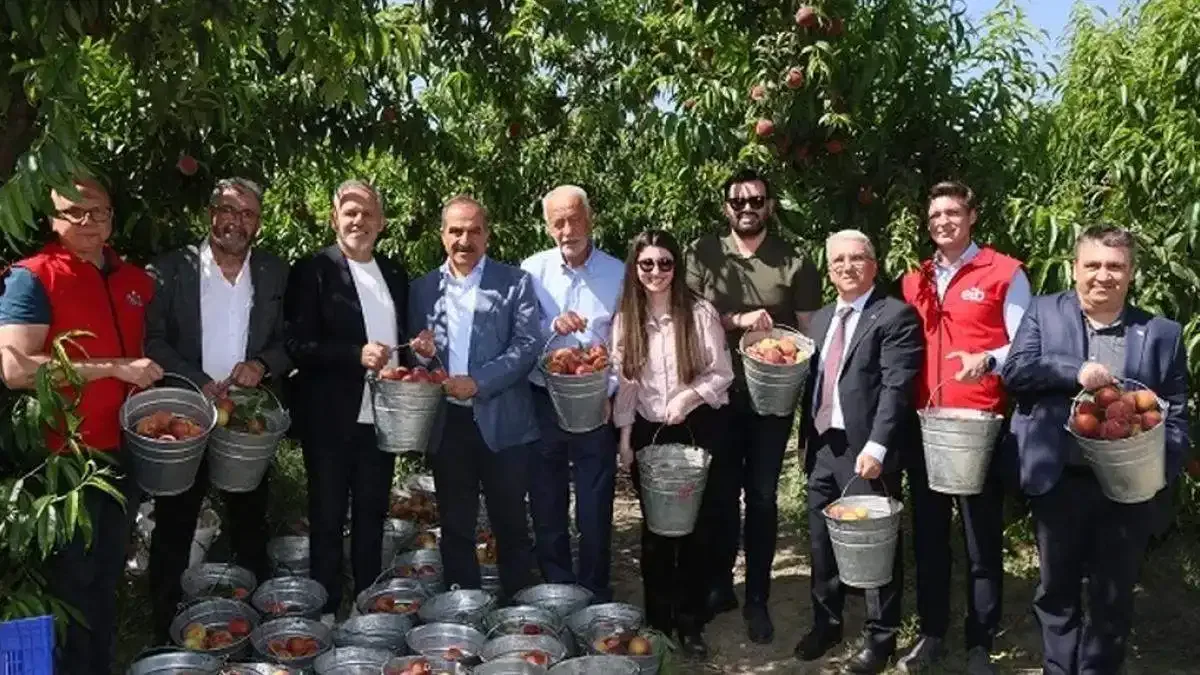 Nektarinde 250 milyon dolar ihracat hedefi