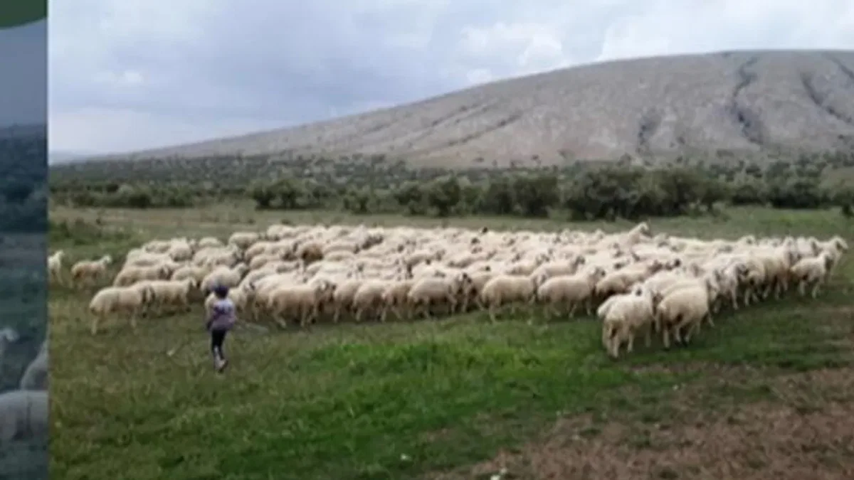 Kırsalda Bereket Projesi hazırlığı