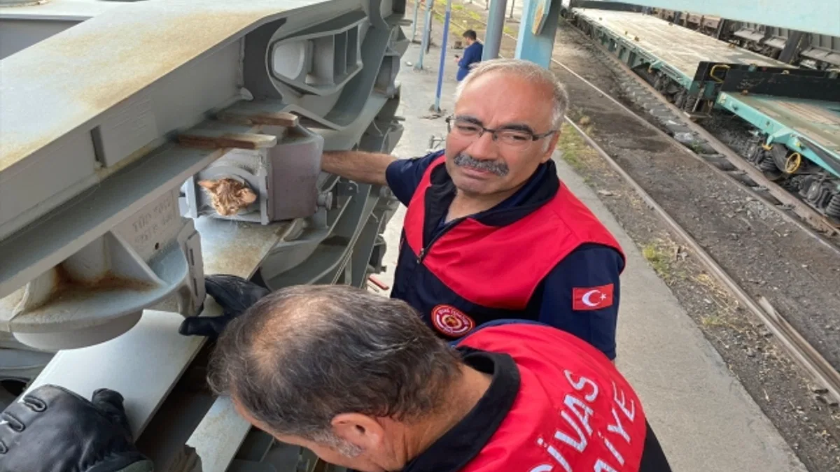 Sivas'ta vagona sıkışan kedi yavrusunu itfaiye ekipleri kurtardı