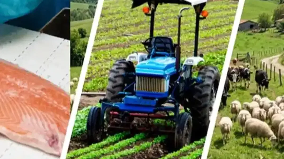 Kırsala 241 milyon avroluk dev hibe