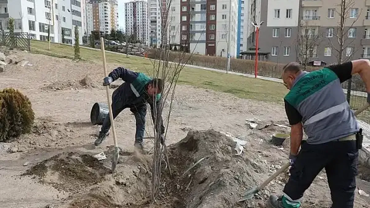 Kayseri Talas'ta ağaçlandırma sezonu açıldı