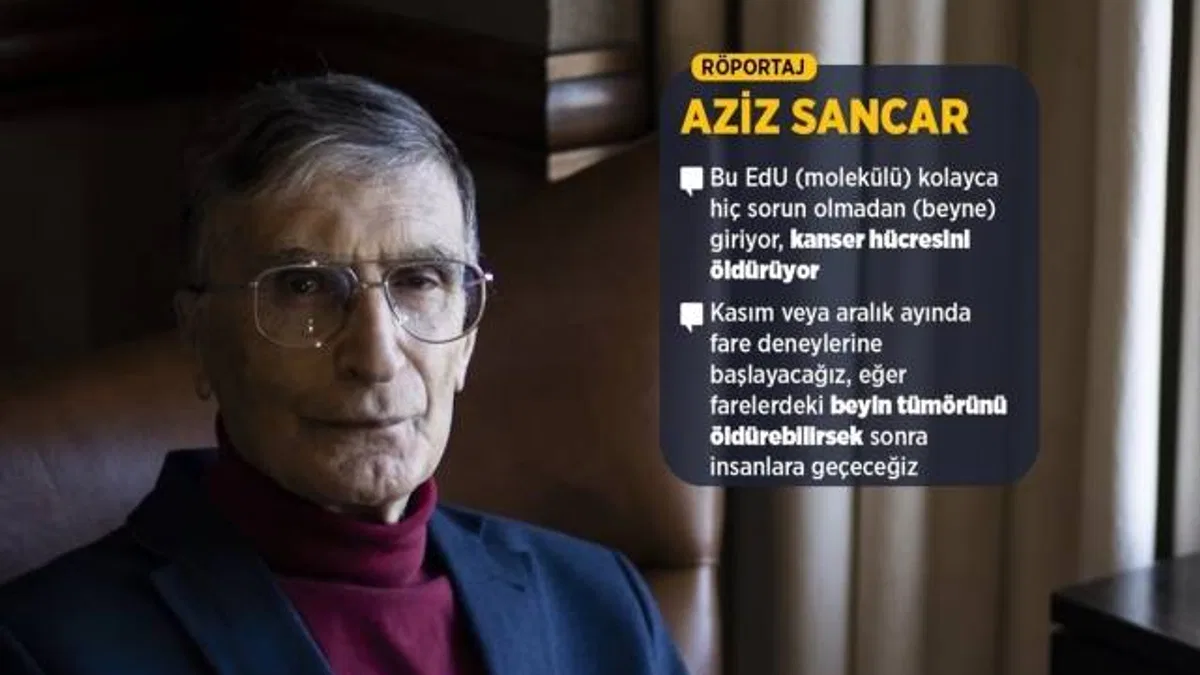 Nobel ödüllü Prof. Dr. Sancar, beyin kanseri çalışmasını AA'ya anlattı