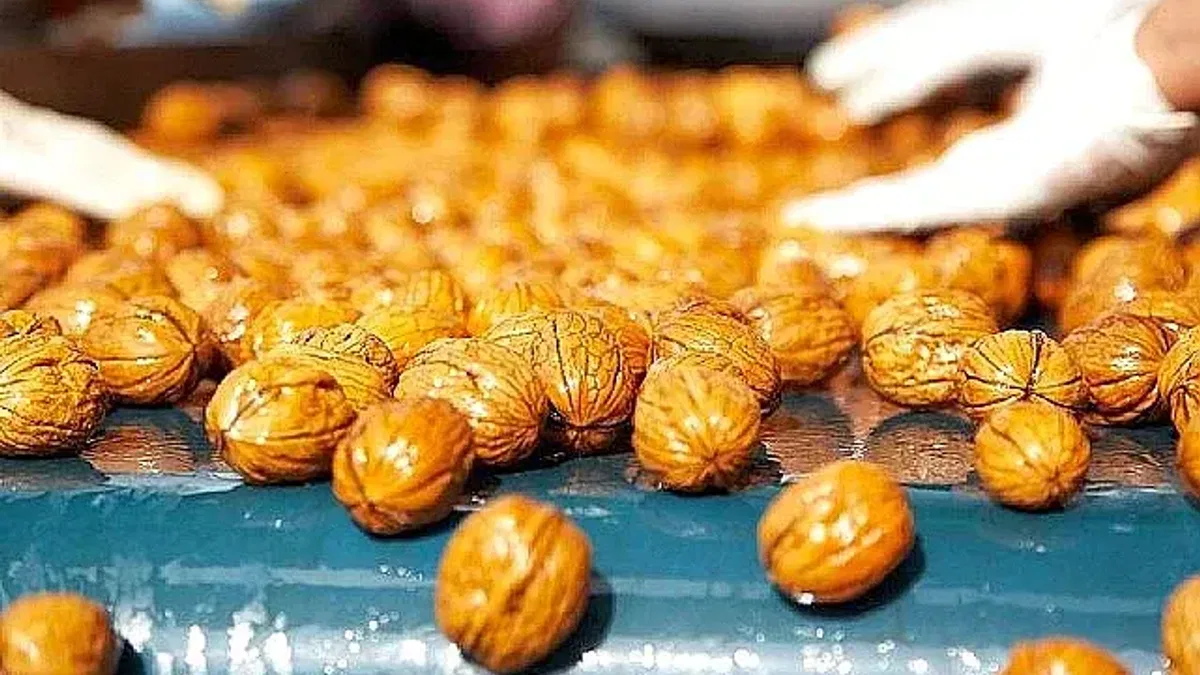 Ceviz Üreticileri Derneği'nden tüketicilere uyarı: “Yerli ve taze cevizi seçmeye özen gösterin"