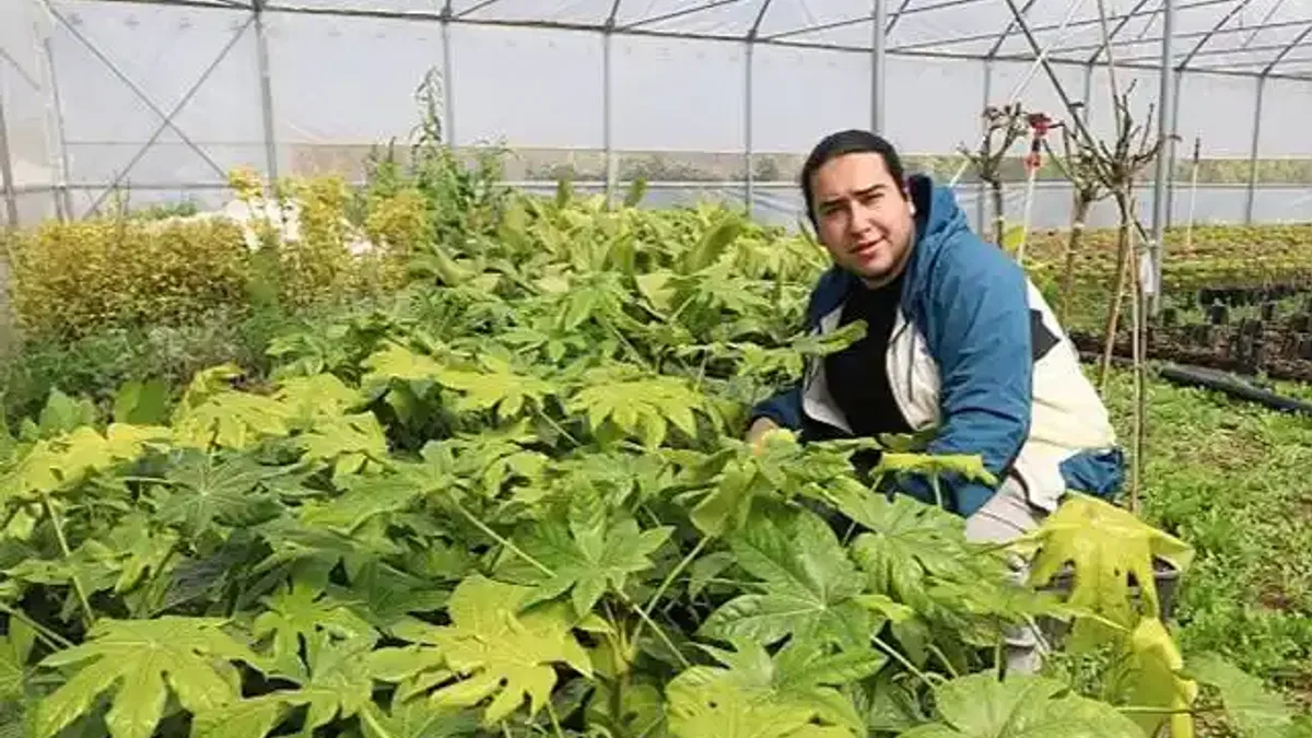 Büyükşehir'in kurduğu modern seralardaki verim üreticiyi sevindirdi
