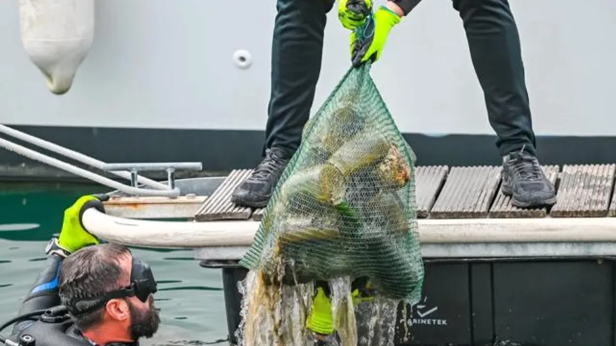 5 ton çöp toplandı, güneş enerjisi kullanımı arttı