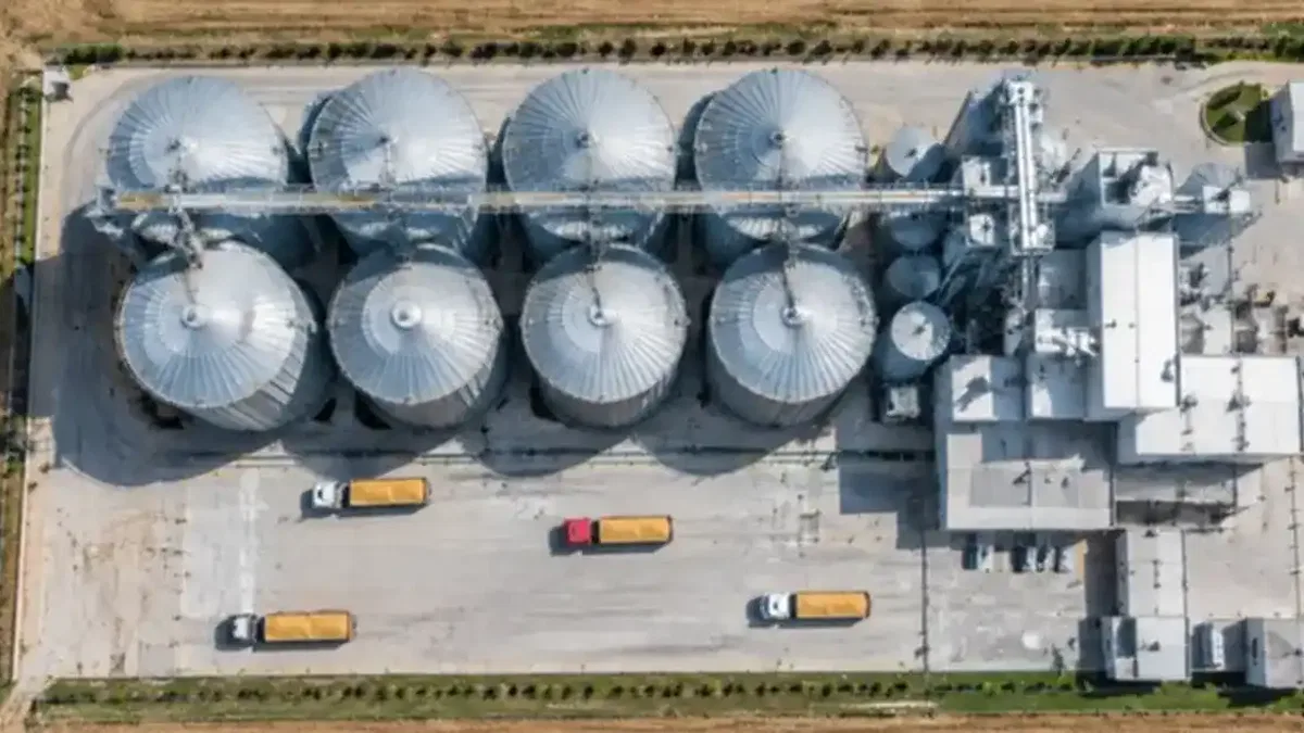 Satışlar öne çekildi, TMO hububat arzına başladı!