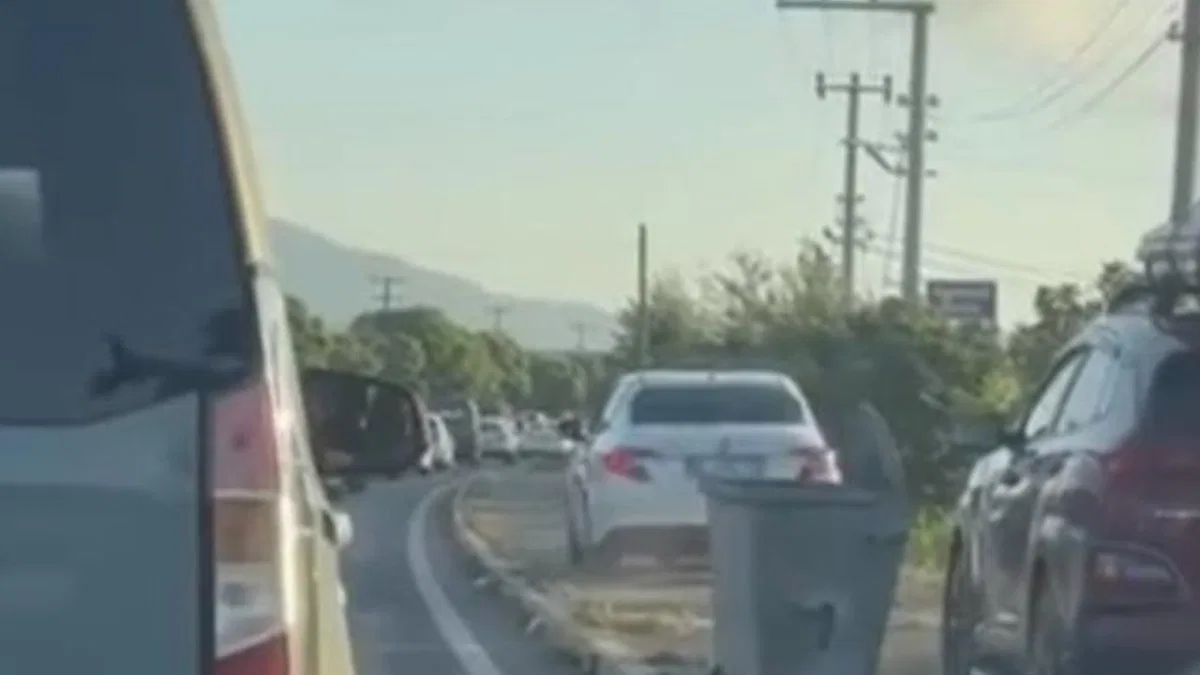 Düzce'de akıl almaz olay