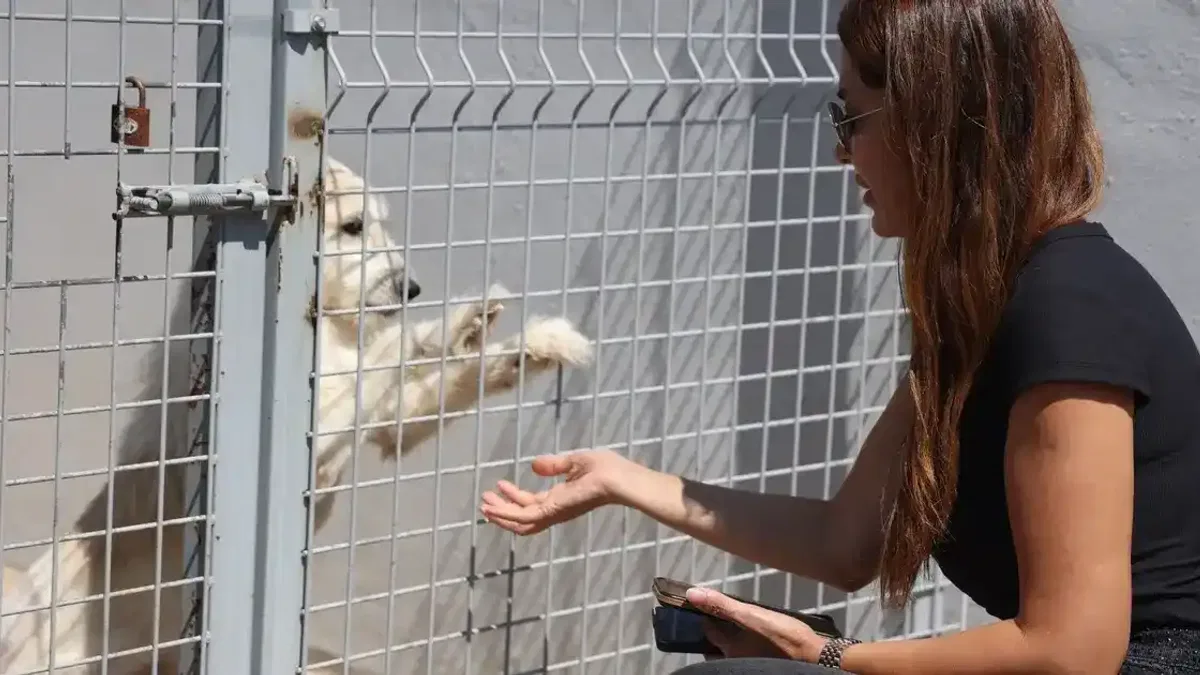 Antalya’da Sokak Hayvanları Bakımevi tam not aldı