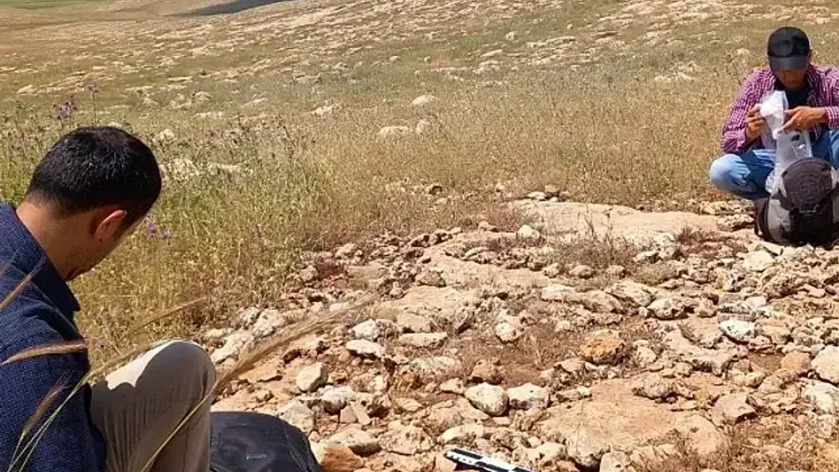 Mardin'de Pleistosen ve Erken Holosen için yaşam bulgusu