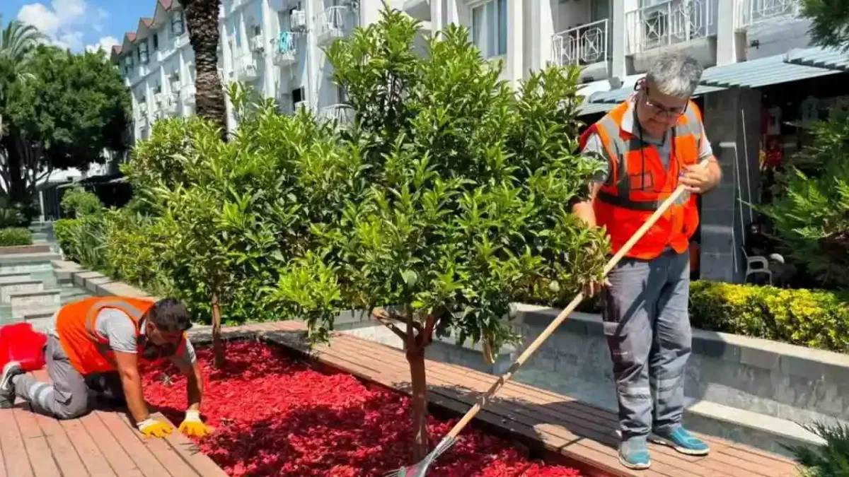 Antalya Büyükşehir'den Kemer Liman'a bakım onarım