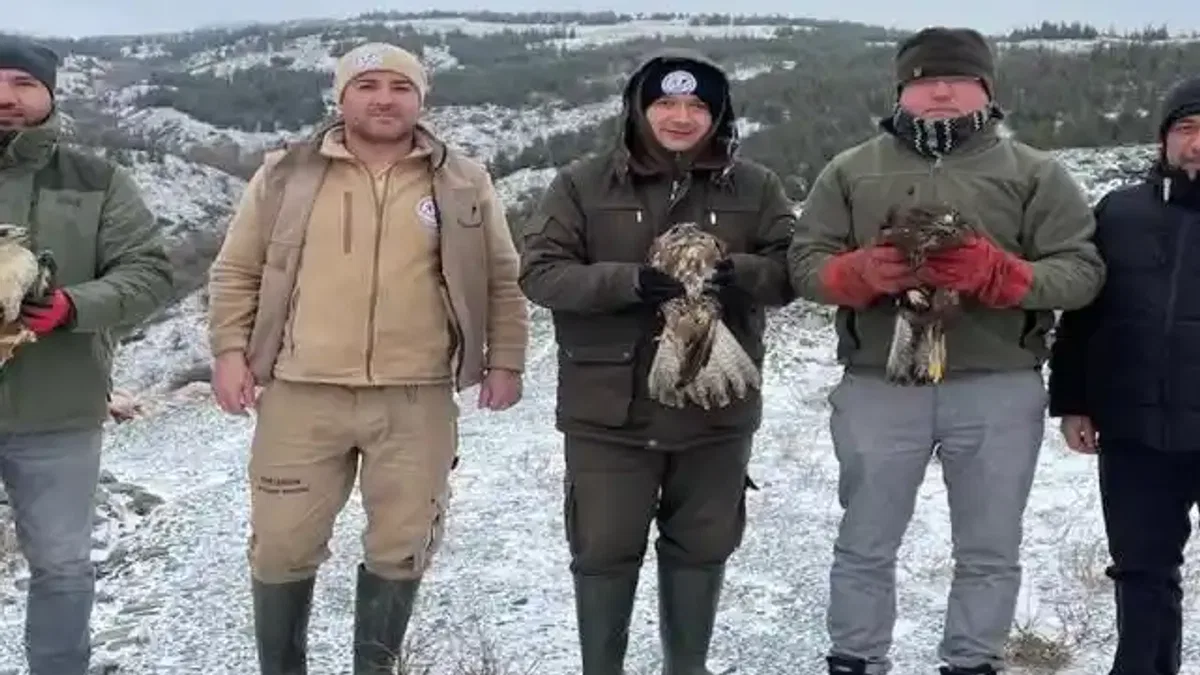 Eskişehir'de tedavi edilen yırtıcı kuşlar doğaya salındı