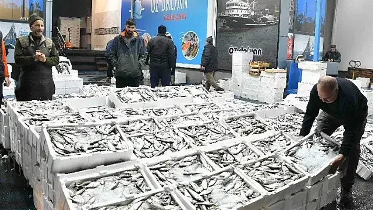 Barakadan modern tesise: Balık hali esnafı memnun