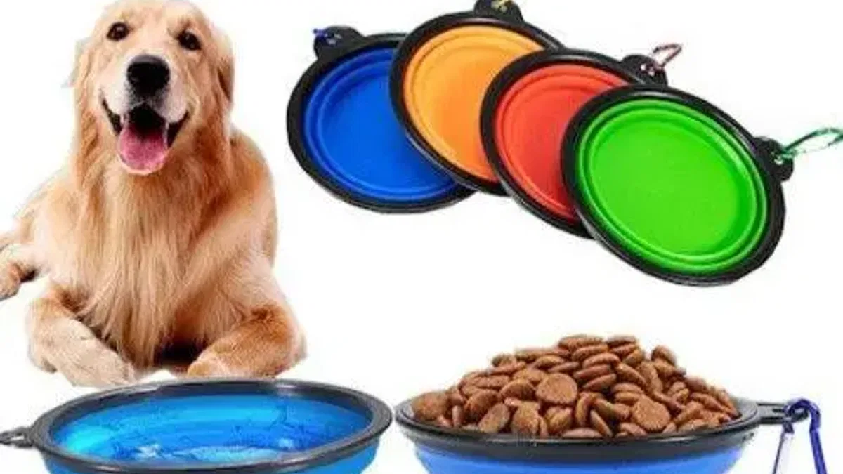 Köpek Maması Fiyatları