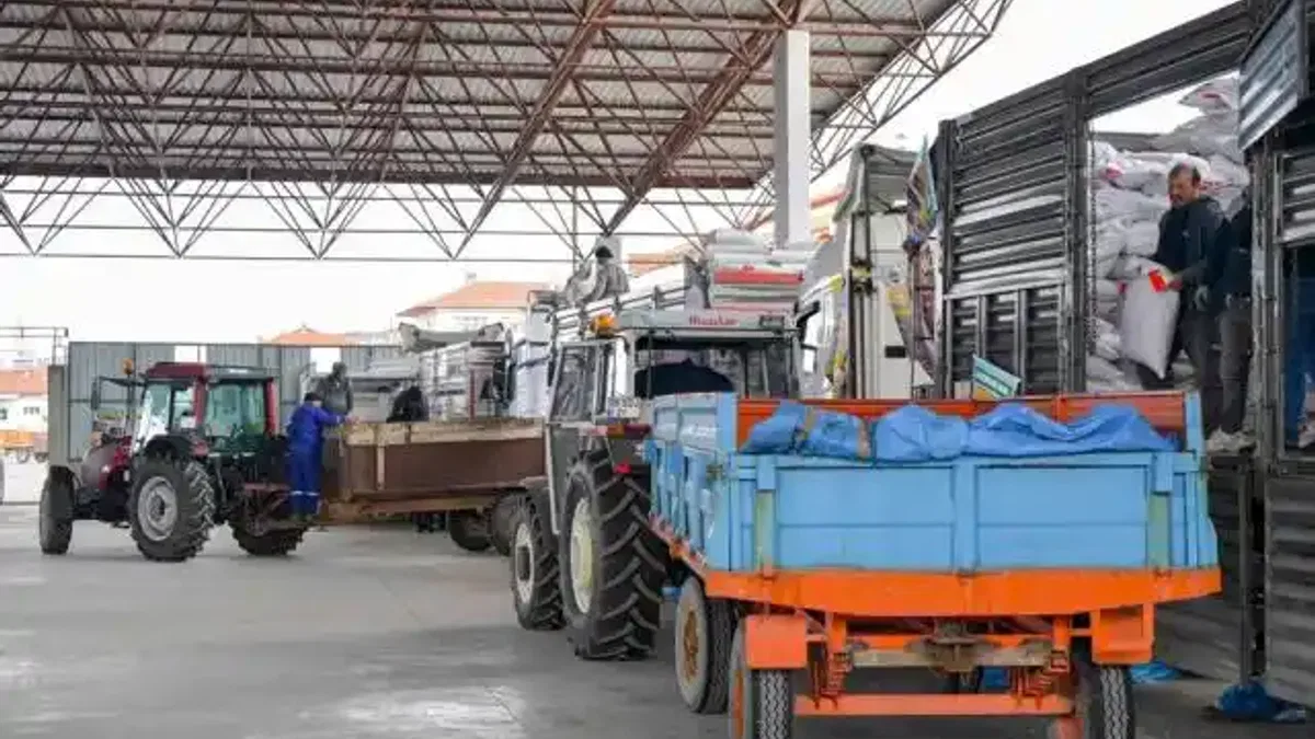 Başkentli Üreticiye 1 Milyon 500 Bin Kilogram Nohut Tohumu Desteği
