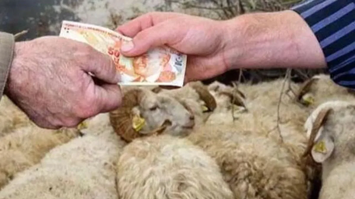2026 Yılı Kurban Hizmetleri Tebliği 'Resmi'leşti