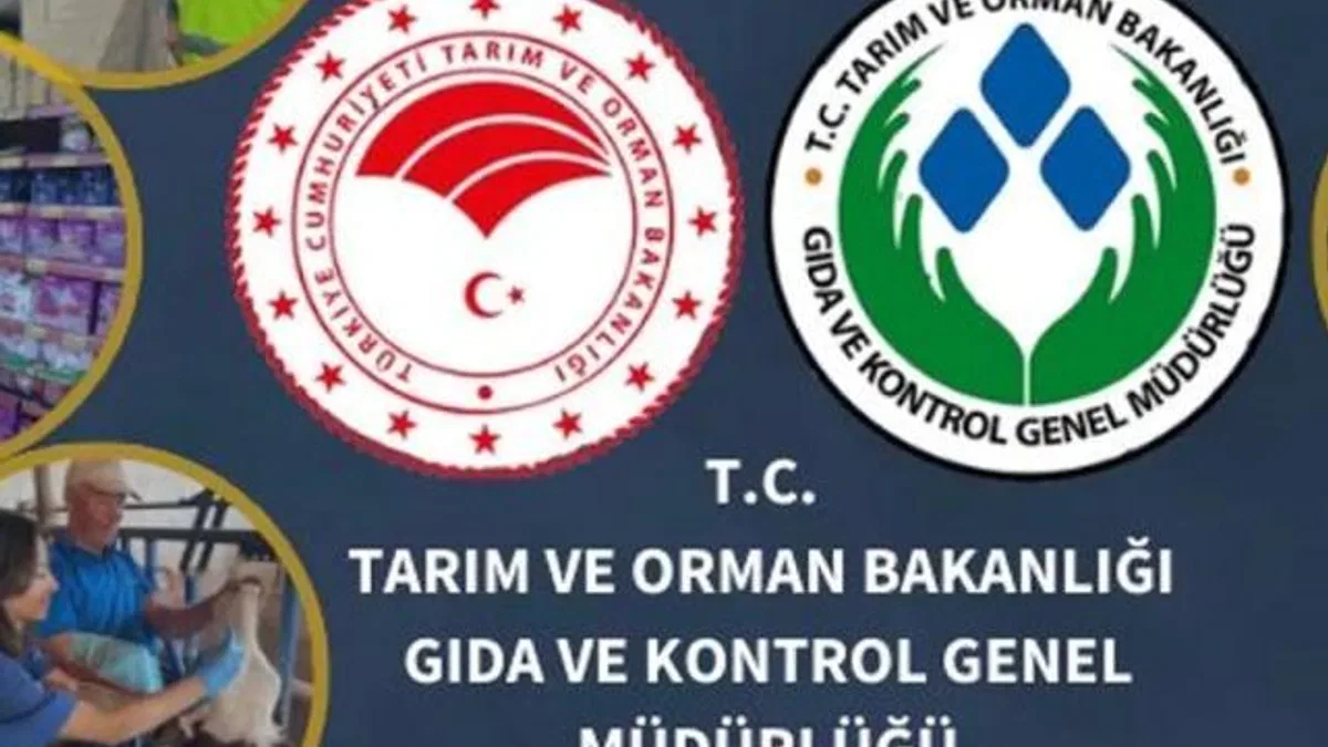 Gıda işletmecilerine 'sahte belge' uyarısı!