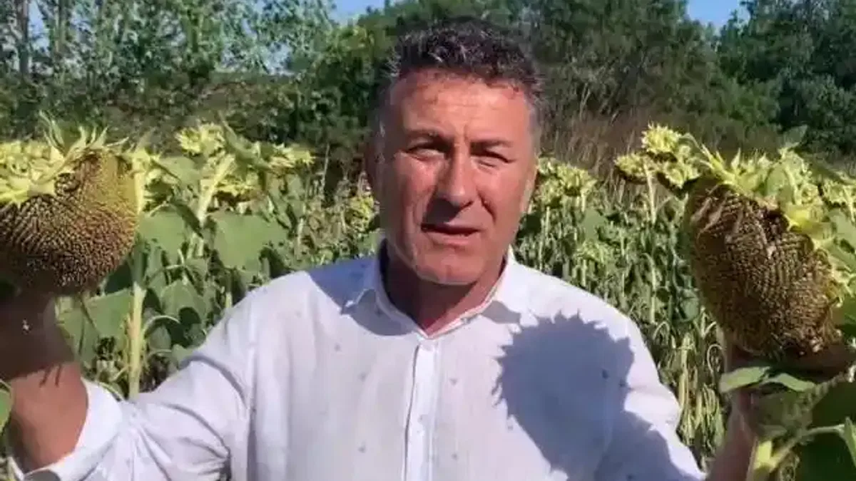 CHP’li Sarıbal’dan ayçiçeği üreticilerine destek çağrısı