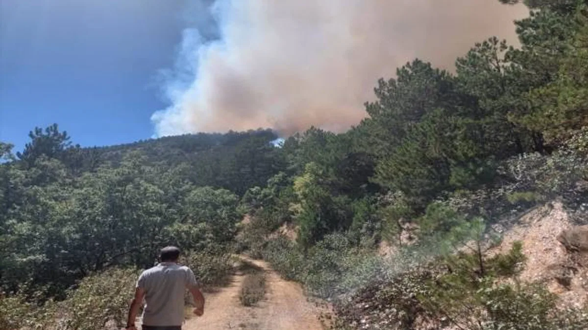 Eskişehir'de çıkan orman yangını söndürüldü