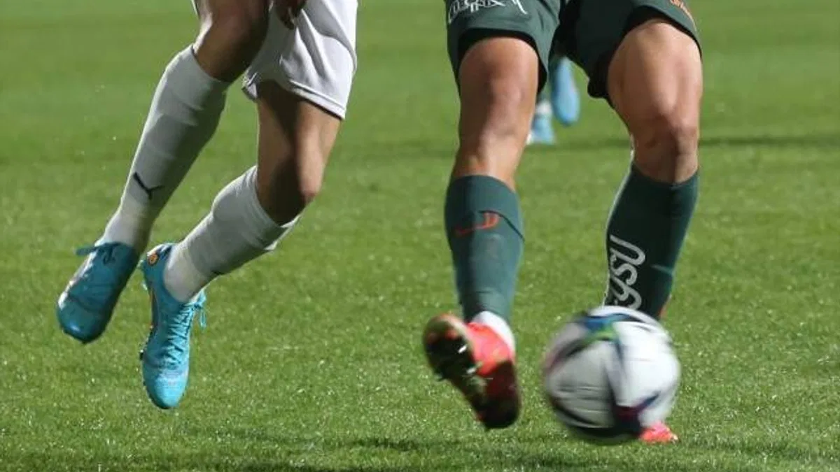 Fenerbahçe'nin Süper Lig'de yarınki konuğu Alanyaspor