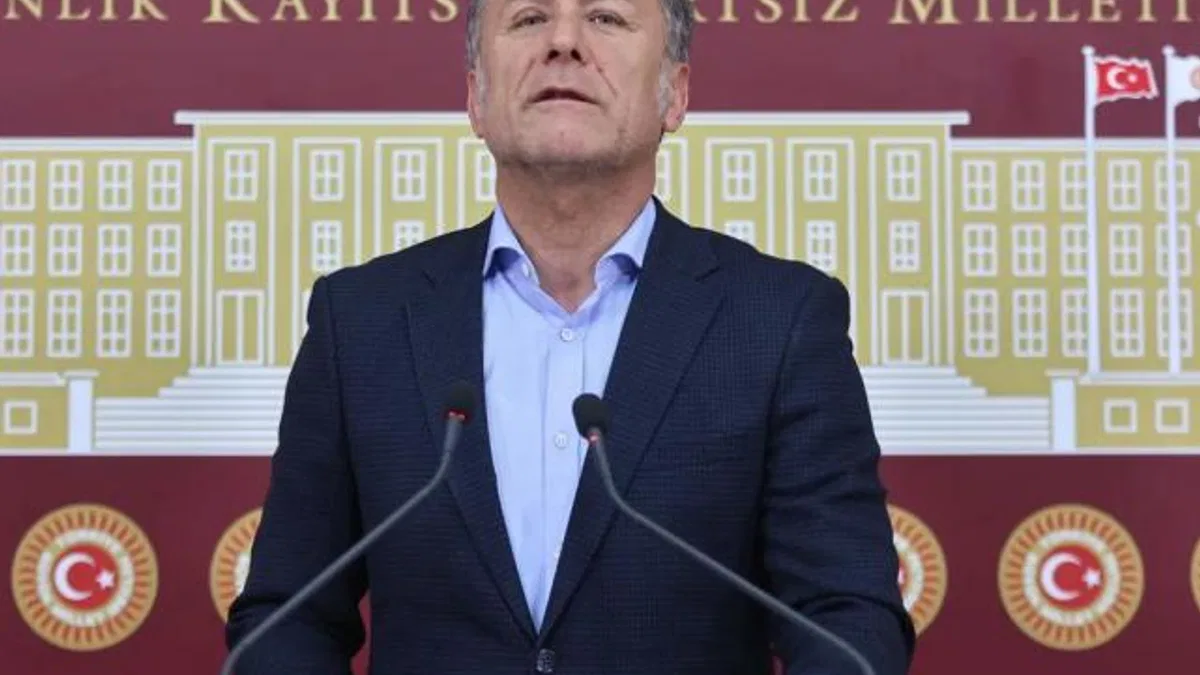 CHP'li Sarıbal: Bursa'da koruma altındaki ayıya ne oldu?