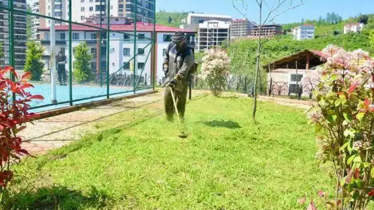 Giresun'da yaz mesaisine hız verildi