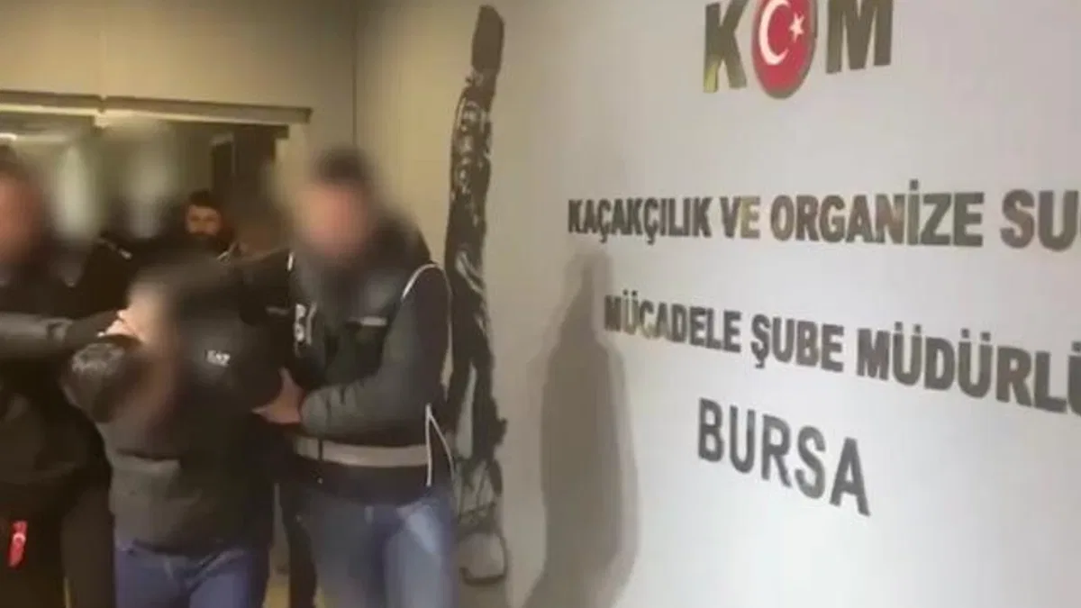 8 organize suç örgütüne 74 gözaltı!