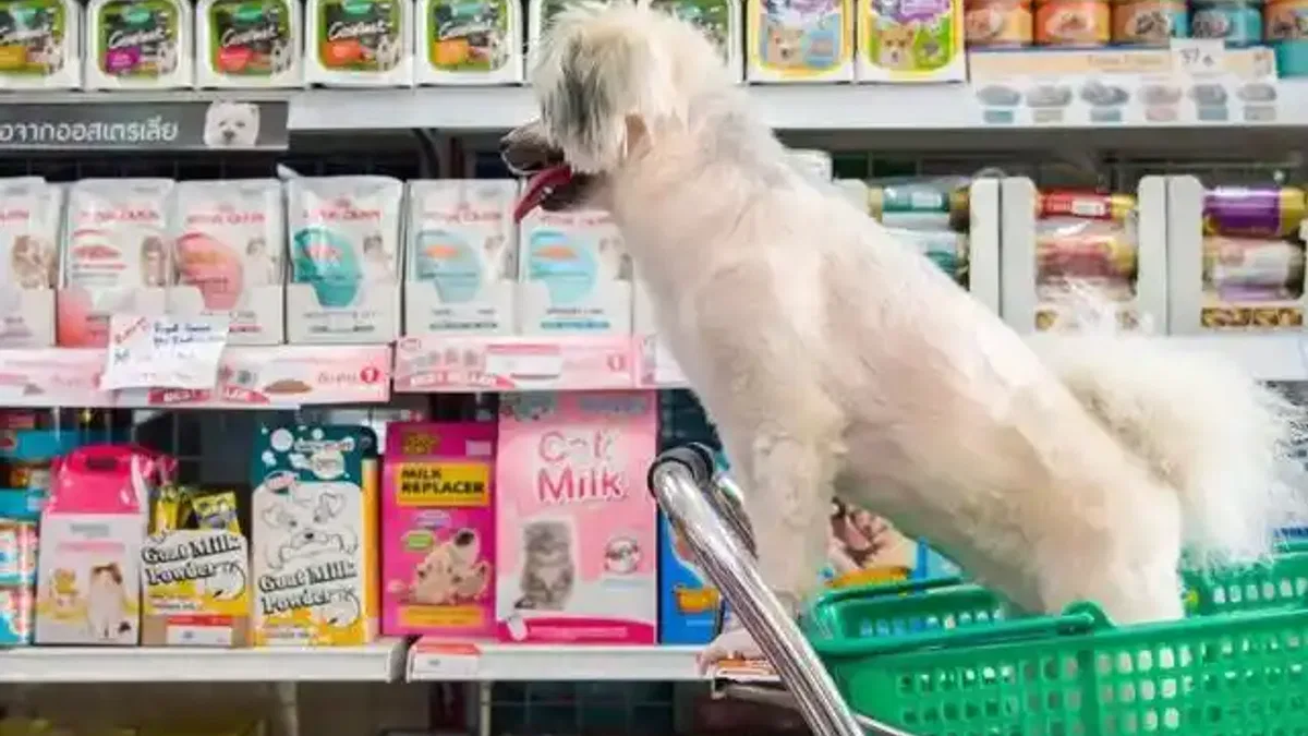 Bursa'da izinsiz petshoplara sıkı denetim