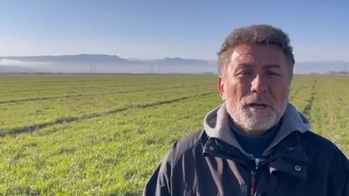 Narenciye üreticisi acil yardım bekliyor