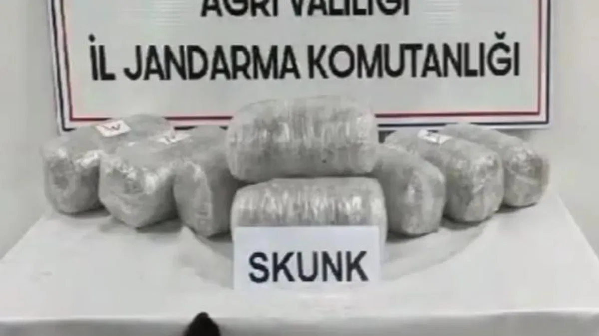 Ağrı’da 10 kilogram skunk ele geçirildi