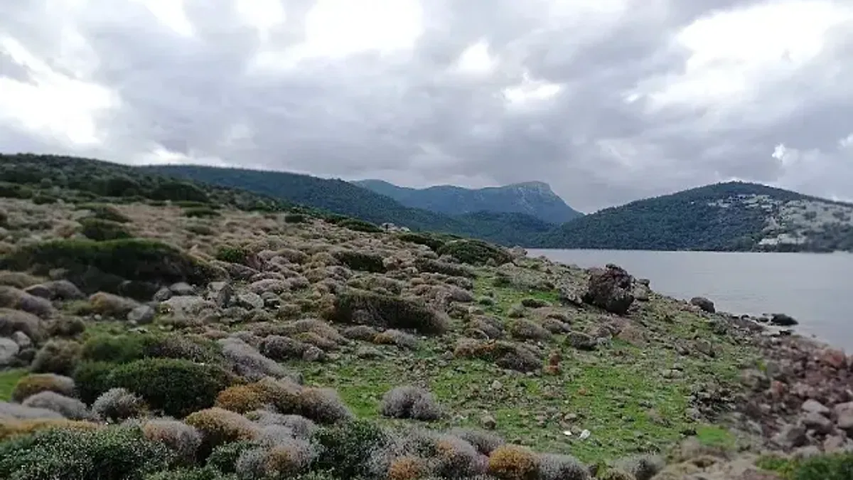 Cengiz İnşaat'tan 'Cennet Koyu' açıklaması