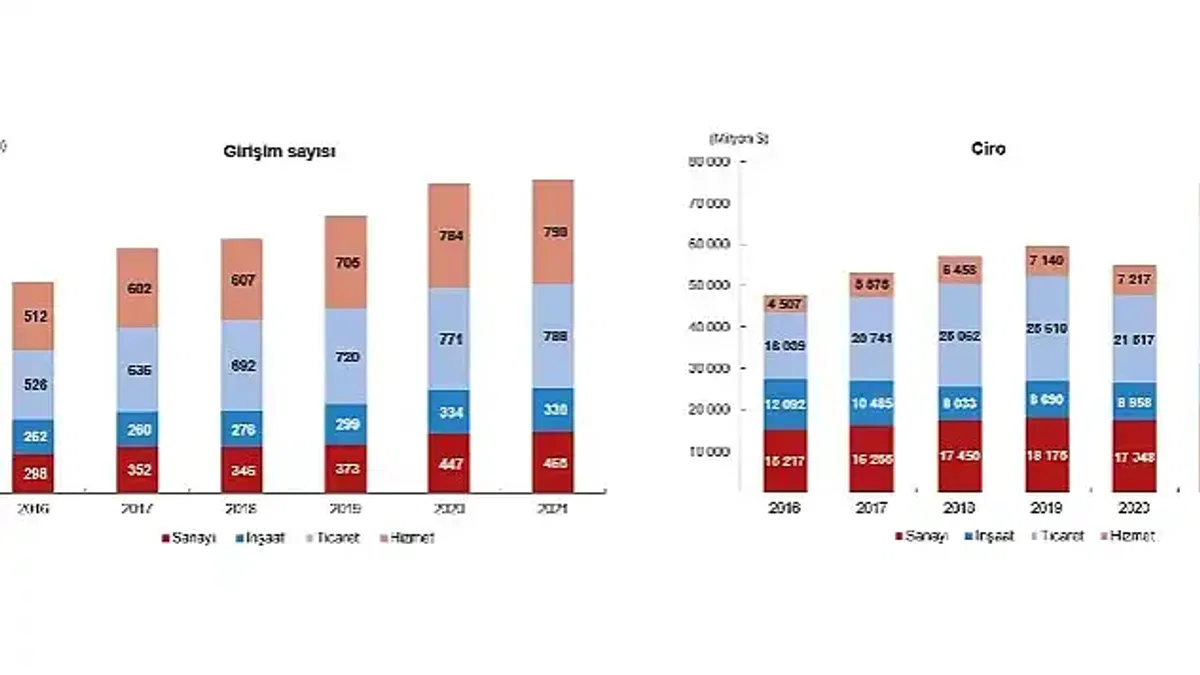 TÜİK: Yurt Dışında Kontrol Edilen Girişim İstatistikleri, 2021