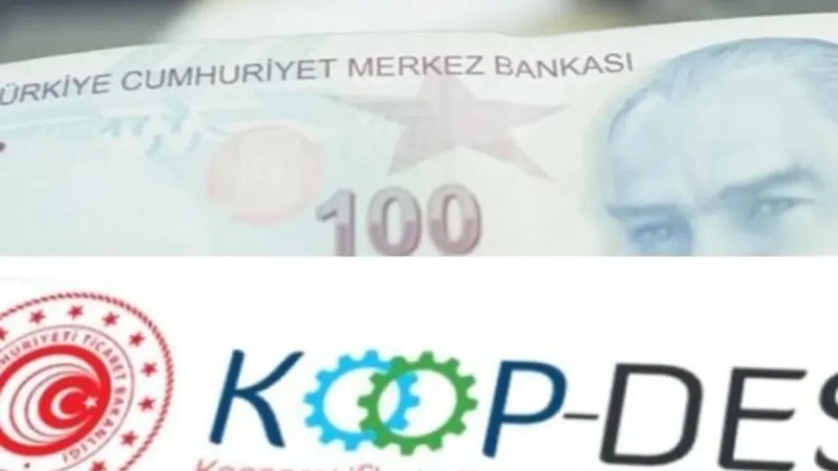 KOOP-DES Yönetmeliği'nde değişiklik Resmi Gazete'de