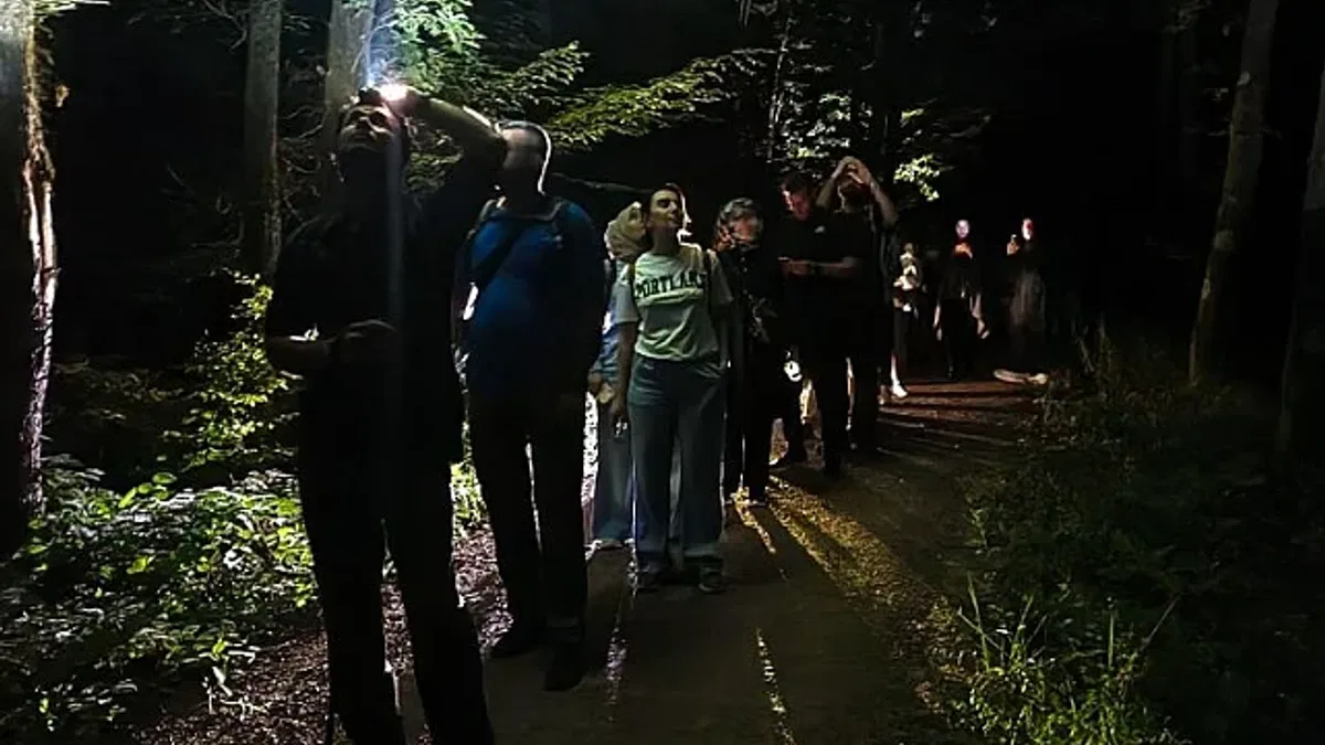 Ormanya'da macera dolu gece yürüyüşü... Yarasa dinletisi yapıldı