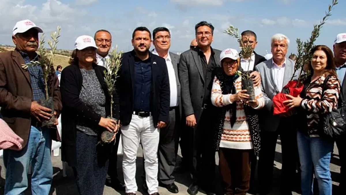Üreticiye zeytin fidanı desteği