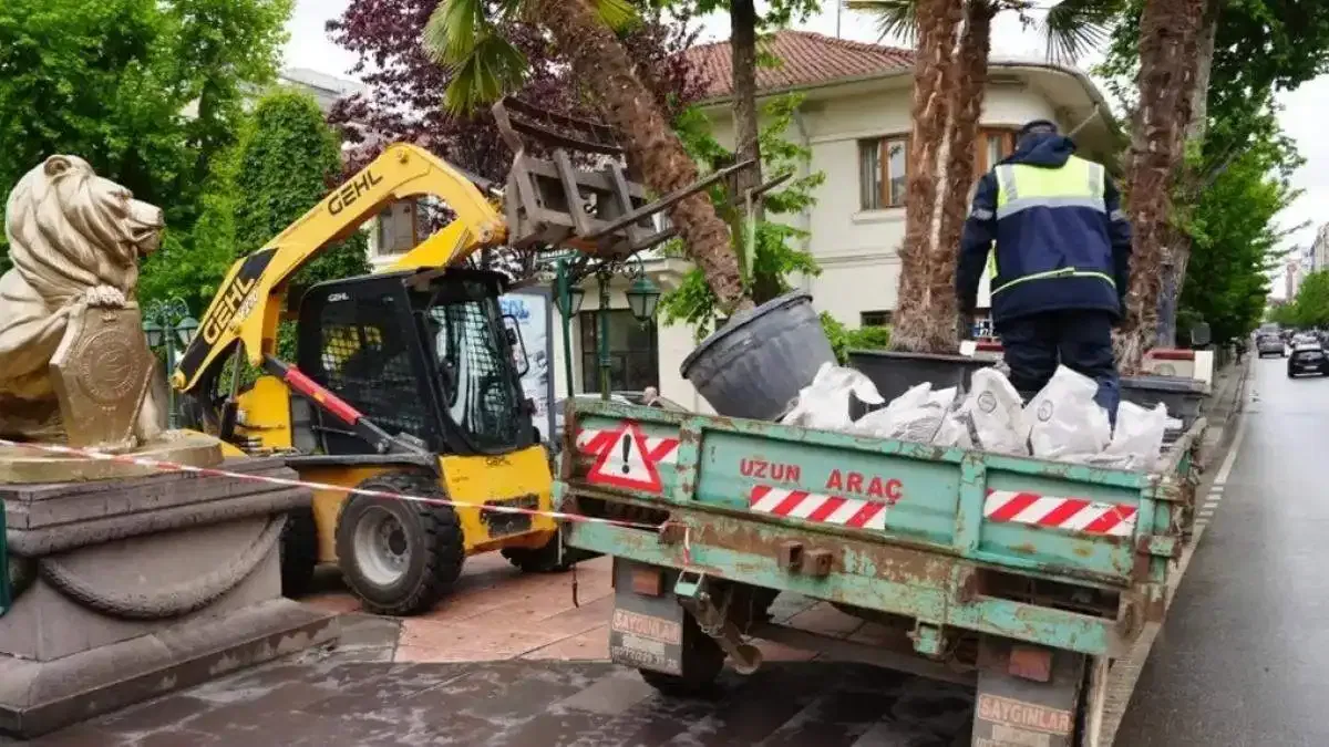 Eskişehir'de Köprübaşı palmiyeleri sahaya çıktı