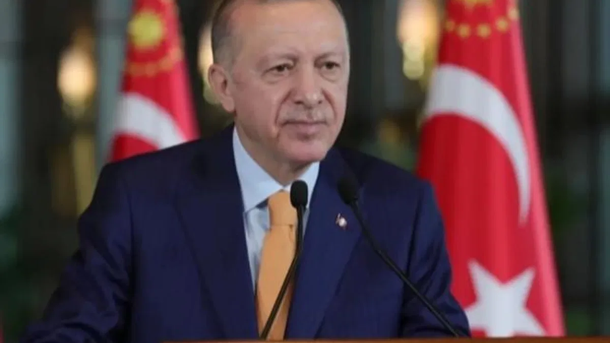 Cumhurbaşkanı Erdoğan'dan Hava Kuvvetleri'ne övgü dolu mesaj
