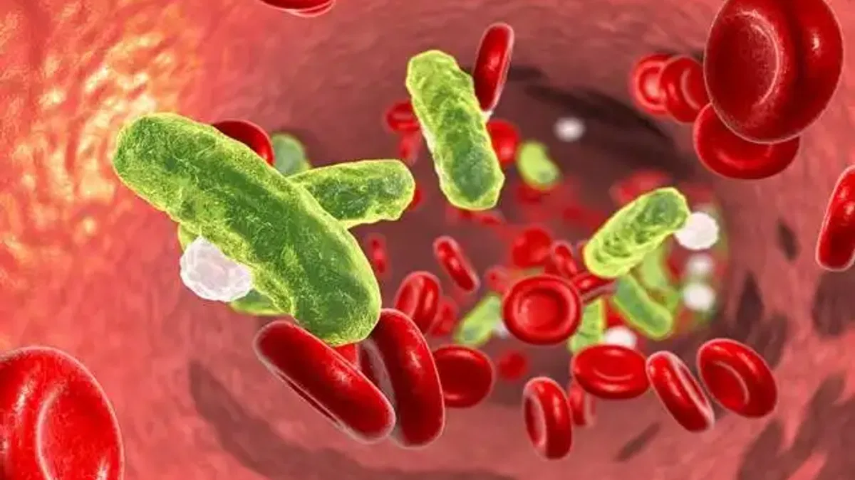 Sepsis hastalığına dikkat!