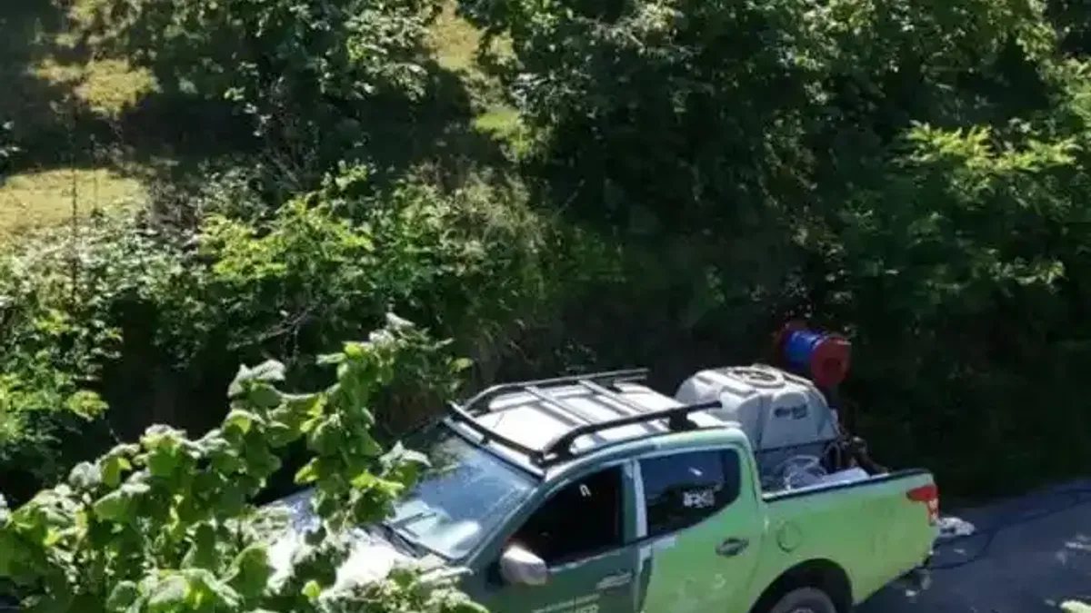 Kahverengi kokarca FINVER bahçelerinde takip altında