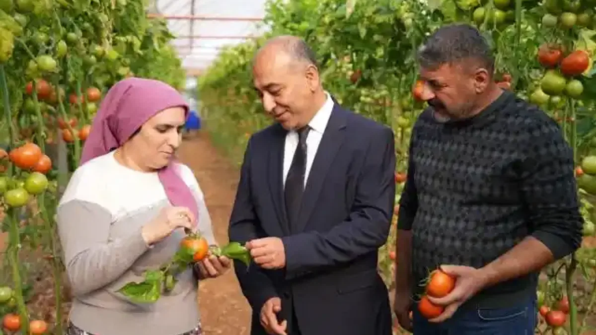 Şok Marketler'de Yeni Dönem