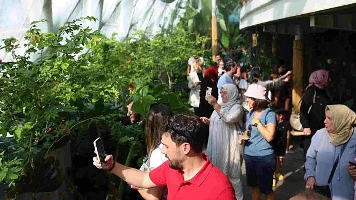 Konya Tropikal Kelebek Bahçesi bu yıl 569 bin 388 ziyaretçiyi ağırladı