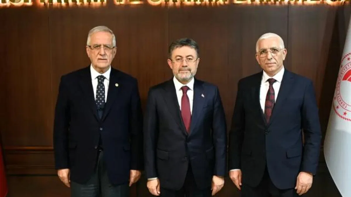 Marmarabirlik: Dane zeytine prim desteği kaldırılmamalı! Bakan Yumaklı'ya rapor sunuldu